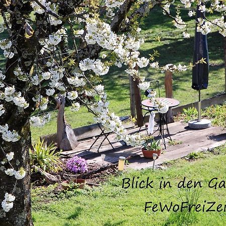 Fewofreizeit Rheinau Buitenkant foto