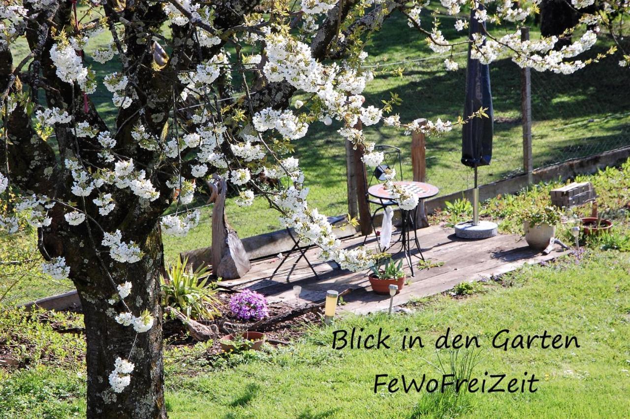 Fewofreizeit Rheinau Buitenkant foto