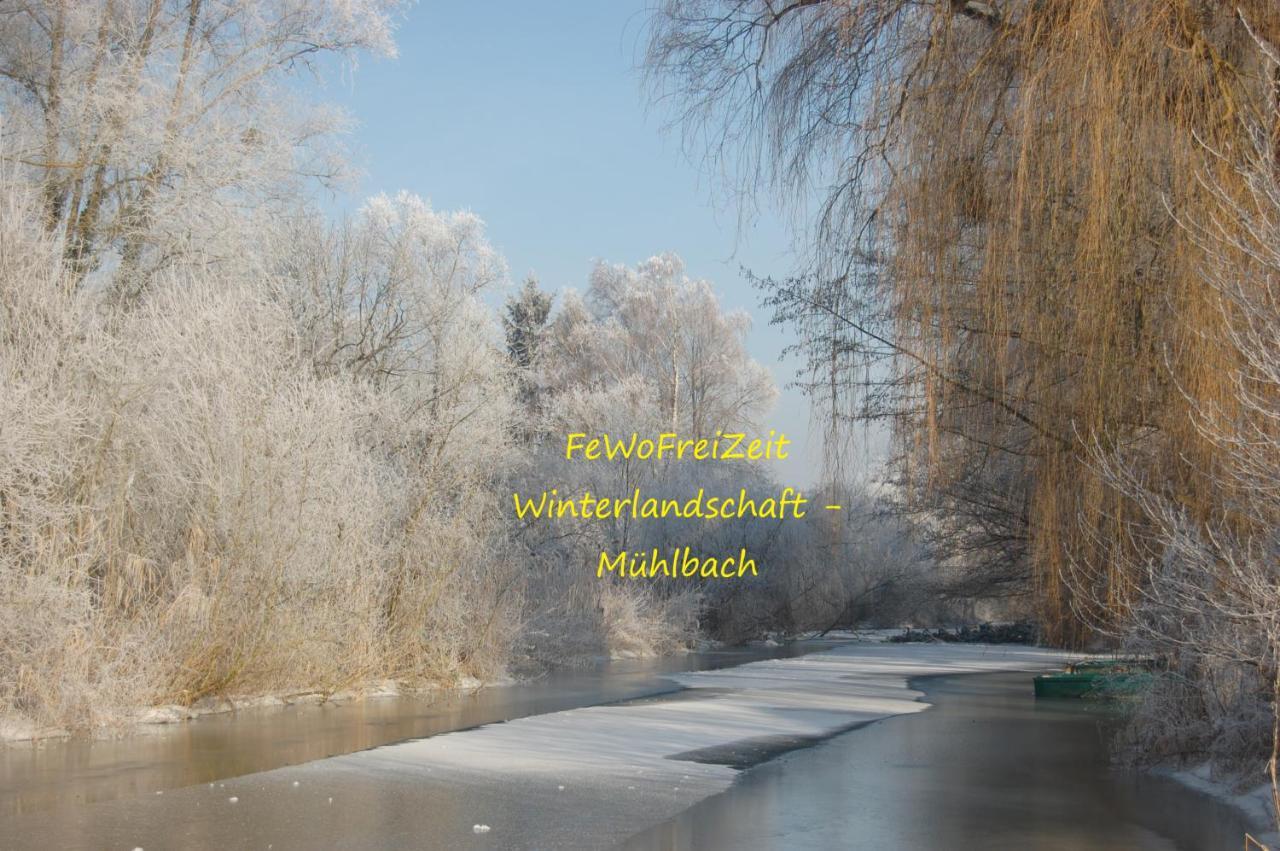 Fewofreizeit Rheinau Buitenkant foto