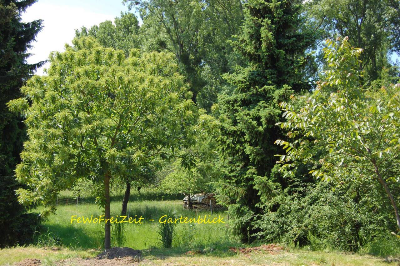Fewofreizeit Rheinau Buitenkant foto