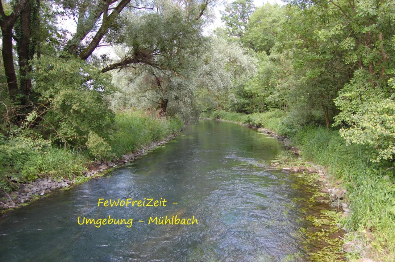Fewofreizeit Rheinau Buitenkant foto