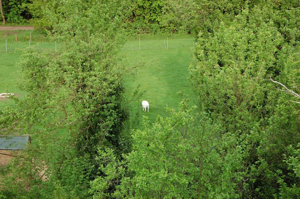 Fewofreizeit Rheinau Buitenkant foto